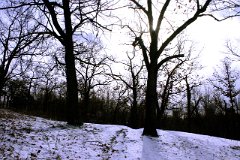 photo 0256